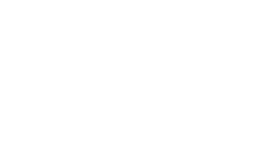 David Scott Logo