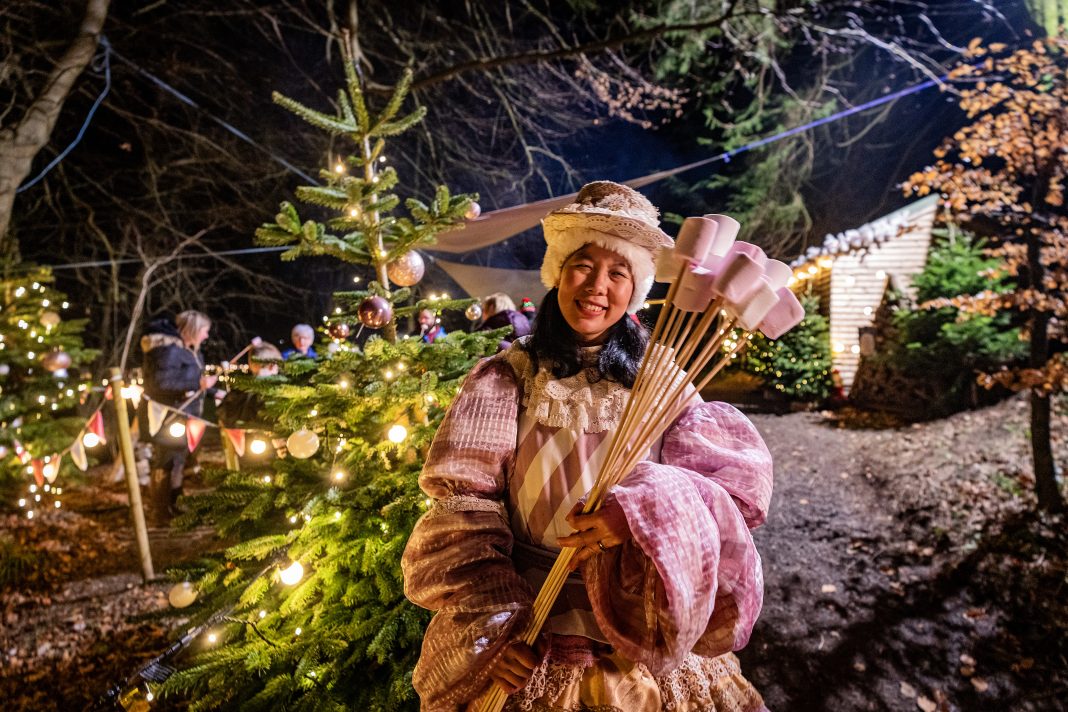 Magheramorne Estate announces the return of its enchanting ‘Magic & Mistletoe’ Christmas Trail