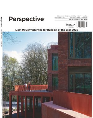 Perspective Issue 3 2025
